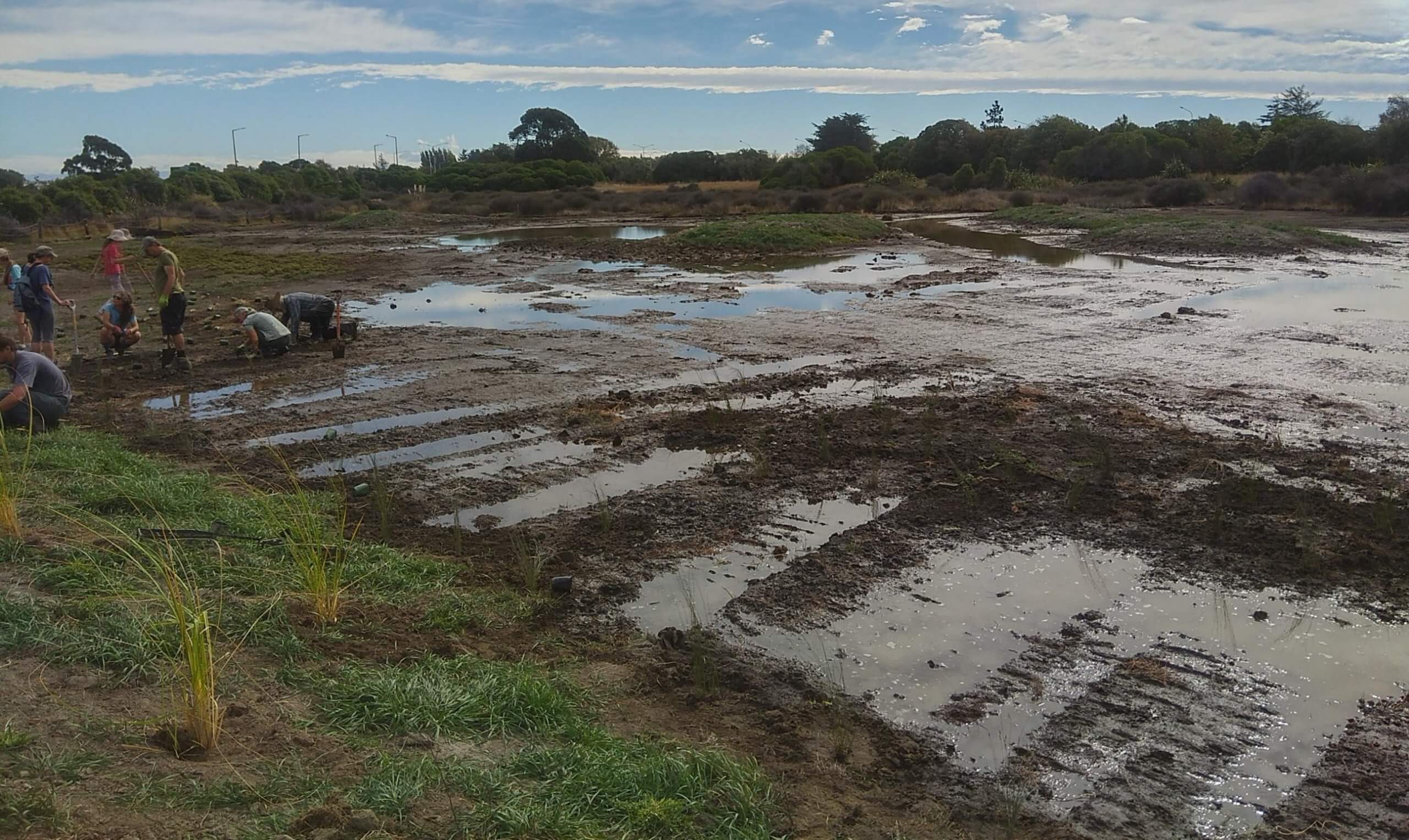 Saltmarsh