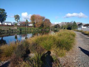 Image of Ōpāwaho Heathcote River at Radley Street bridge