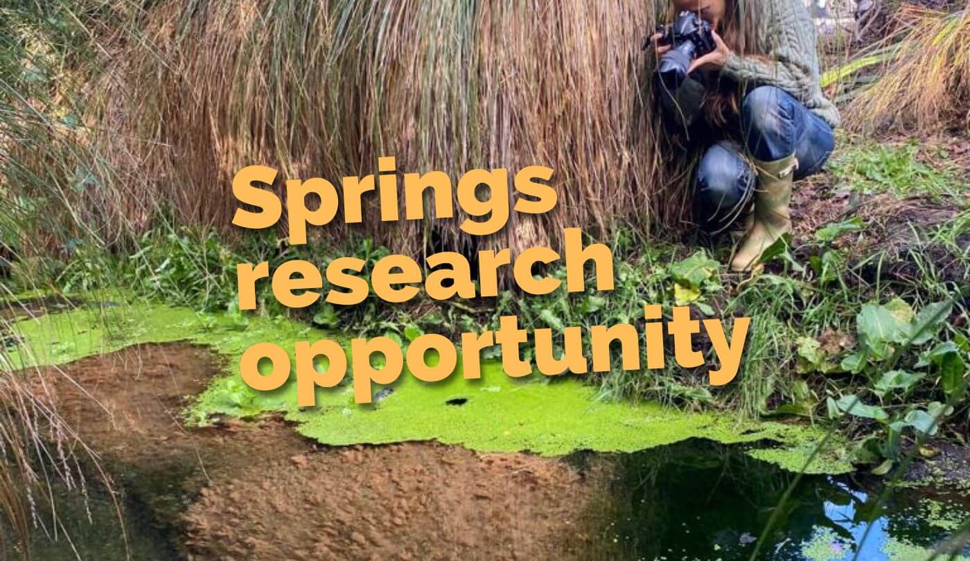 Springs research opportunity