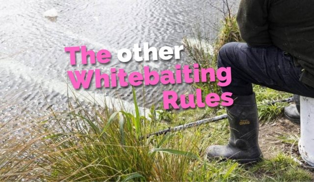 The other whitebaiting rules