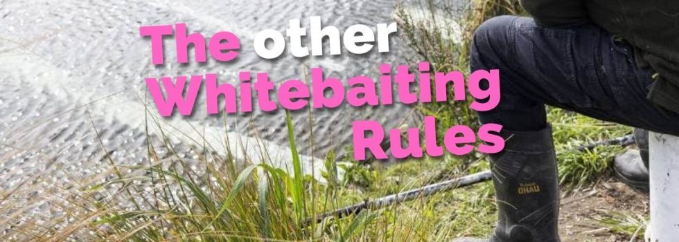 The other whitebaiting rules