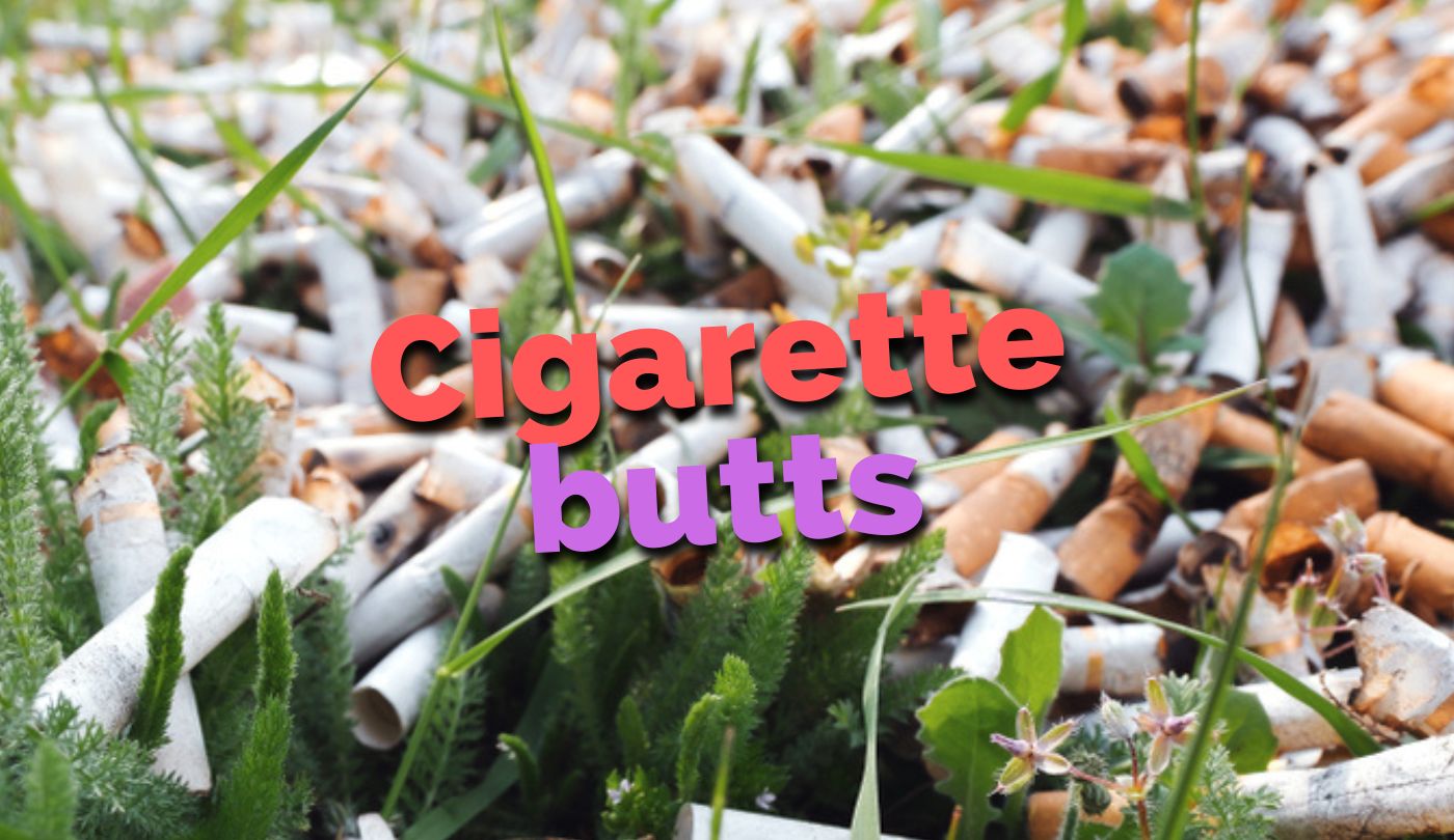 Cigarette butts