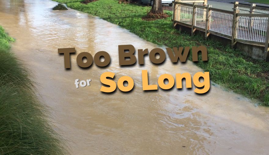 Brown Too Long (1)