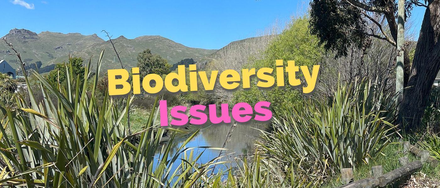 Biodiversity Issues – Ōpāwaho Heathcote River Network