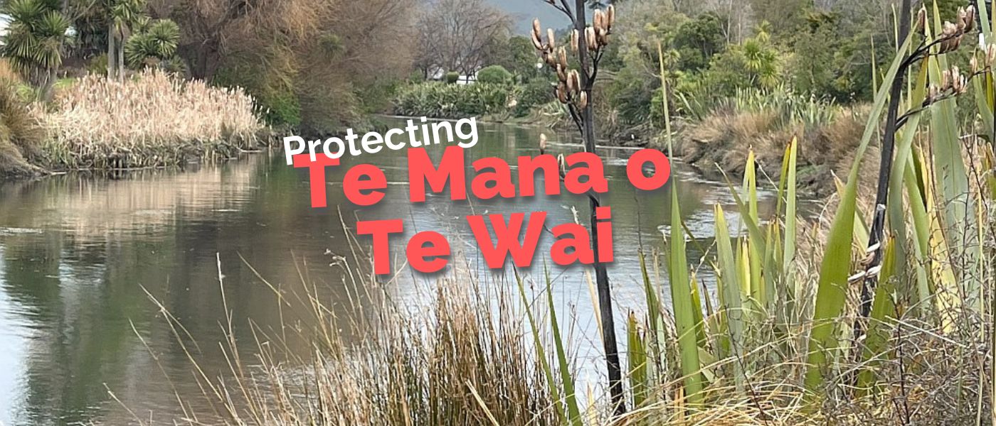 Te Mana O Te Wai