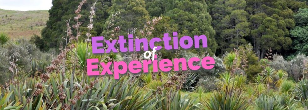 Extinction of Experience