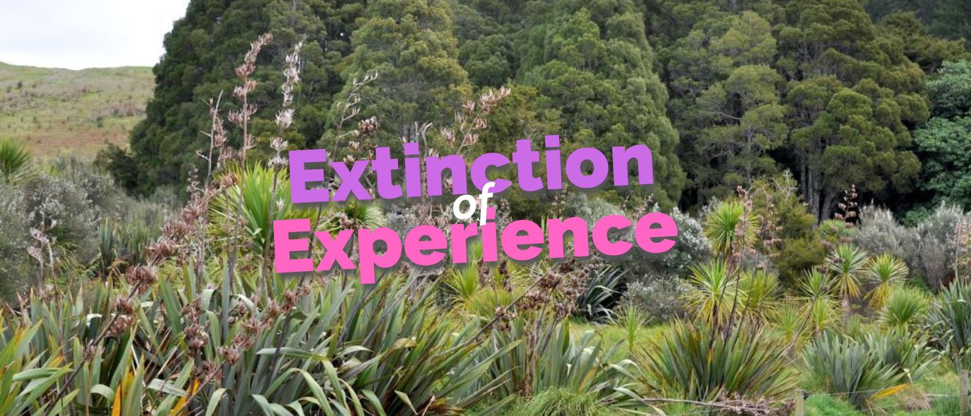 Extinction of Experience