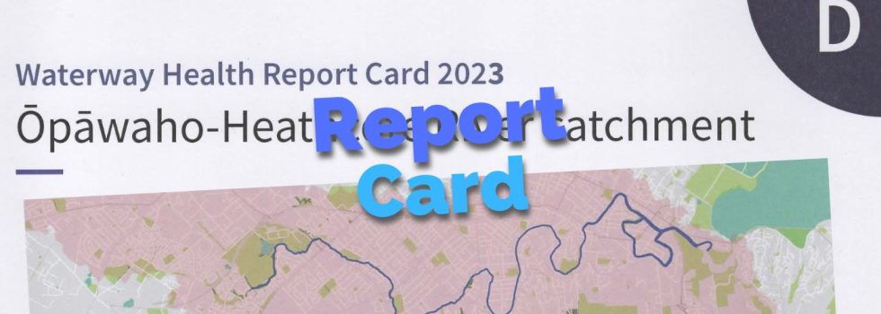 Report Card