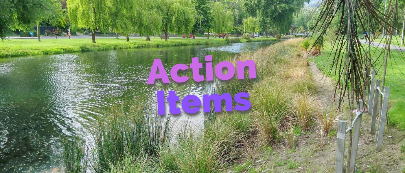 Action Items