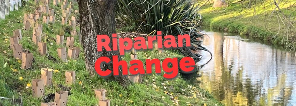 Riparian change