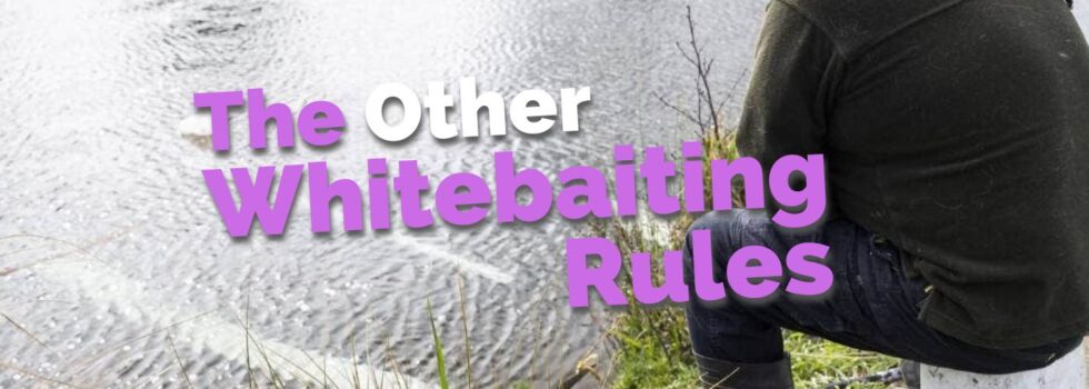 Other whitebait rules