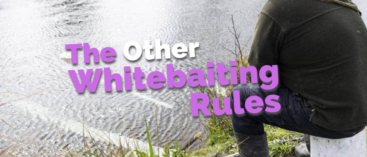 Other whitebait rules