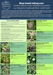 Stop weeds taking over