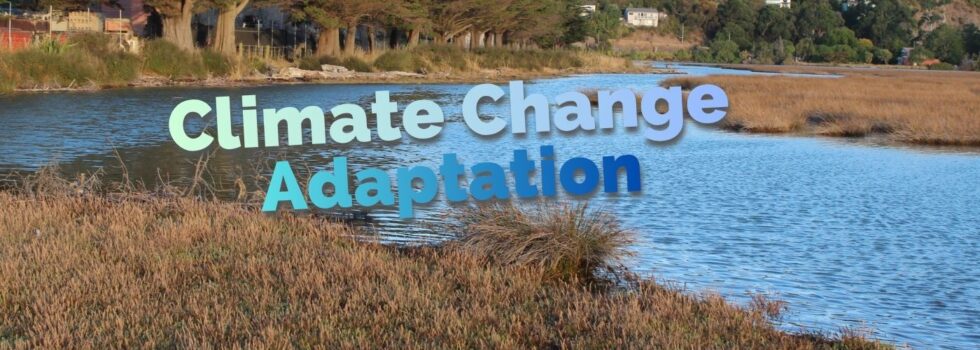 Climate adaptation