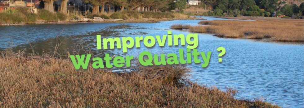 Improving Water Quality